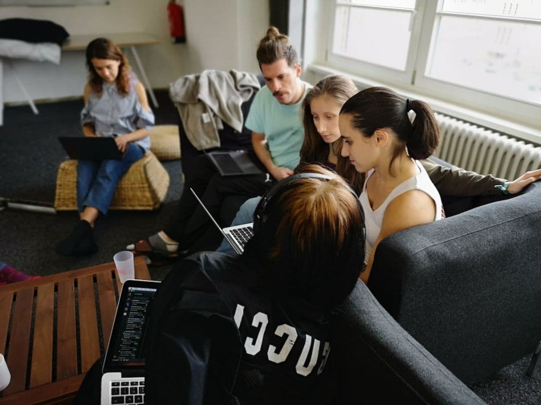 Wild Code School